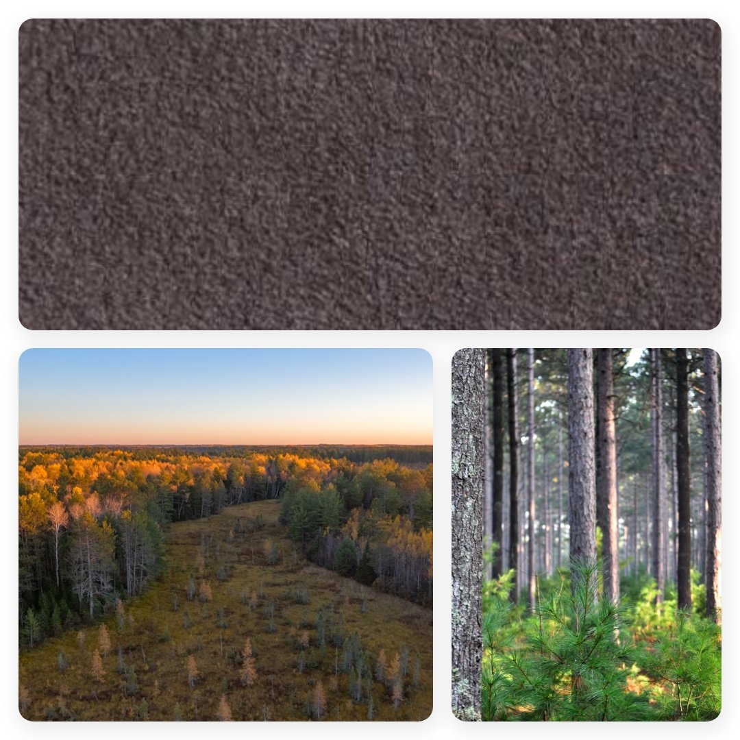 Wisconsin Pine (4859)