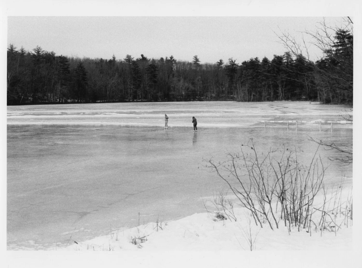 The Ice Skaters