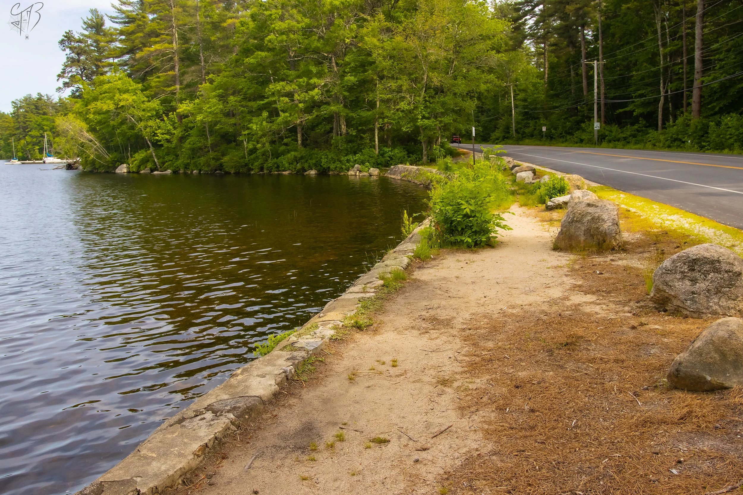 The Path Becomes Clear