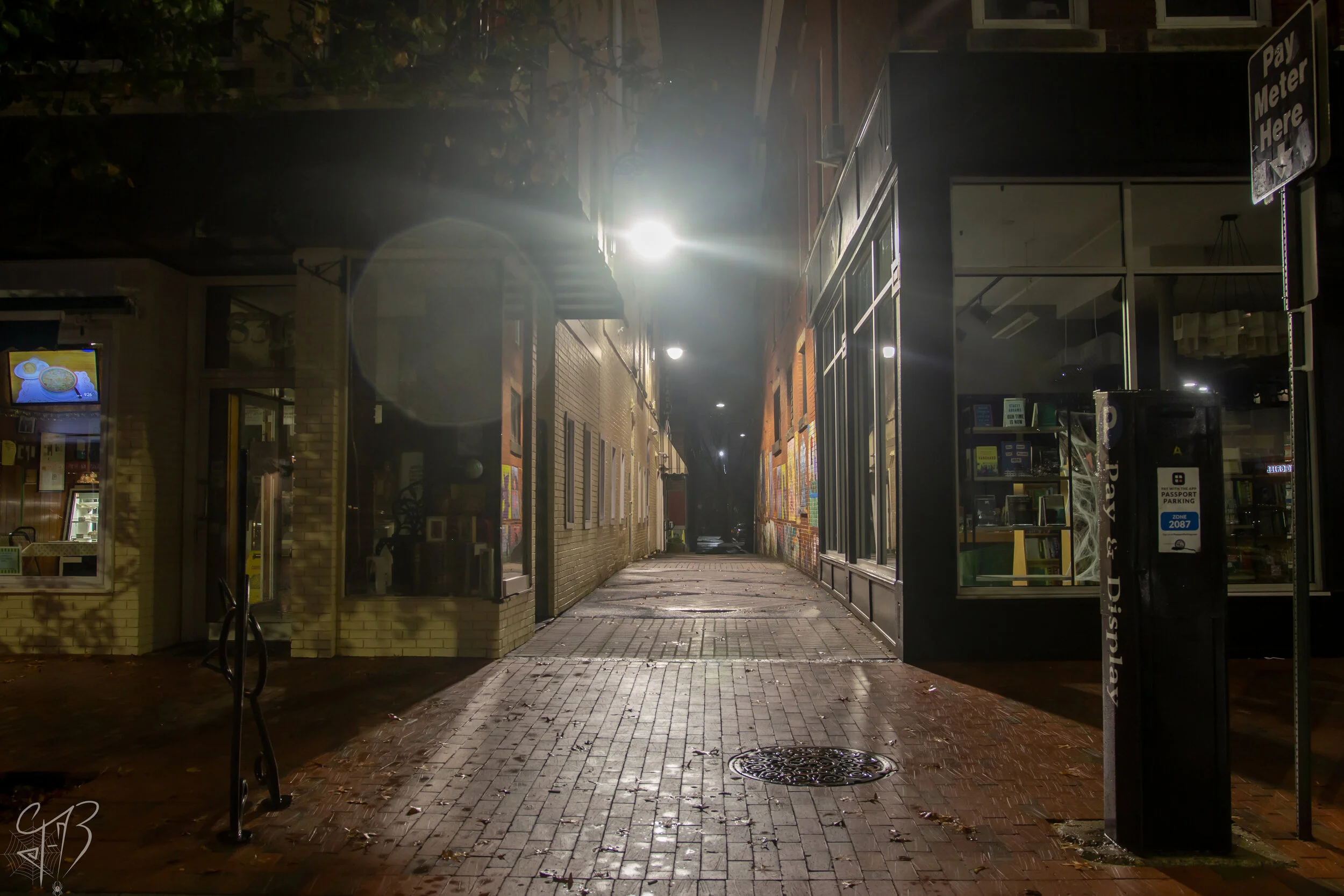 Alley Cat Alley