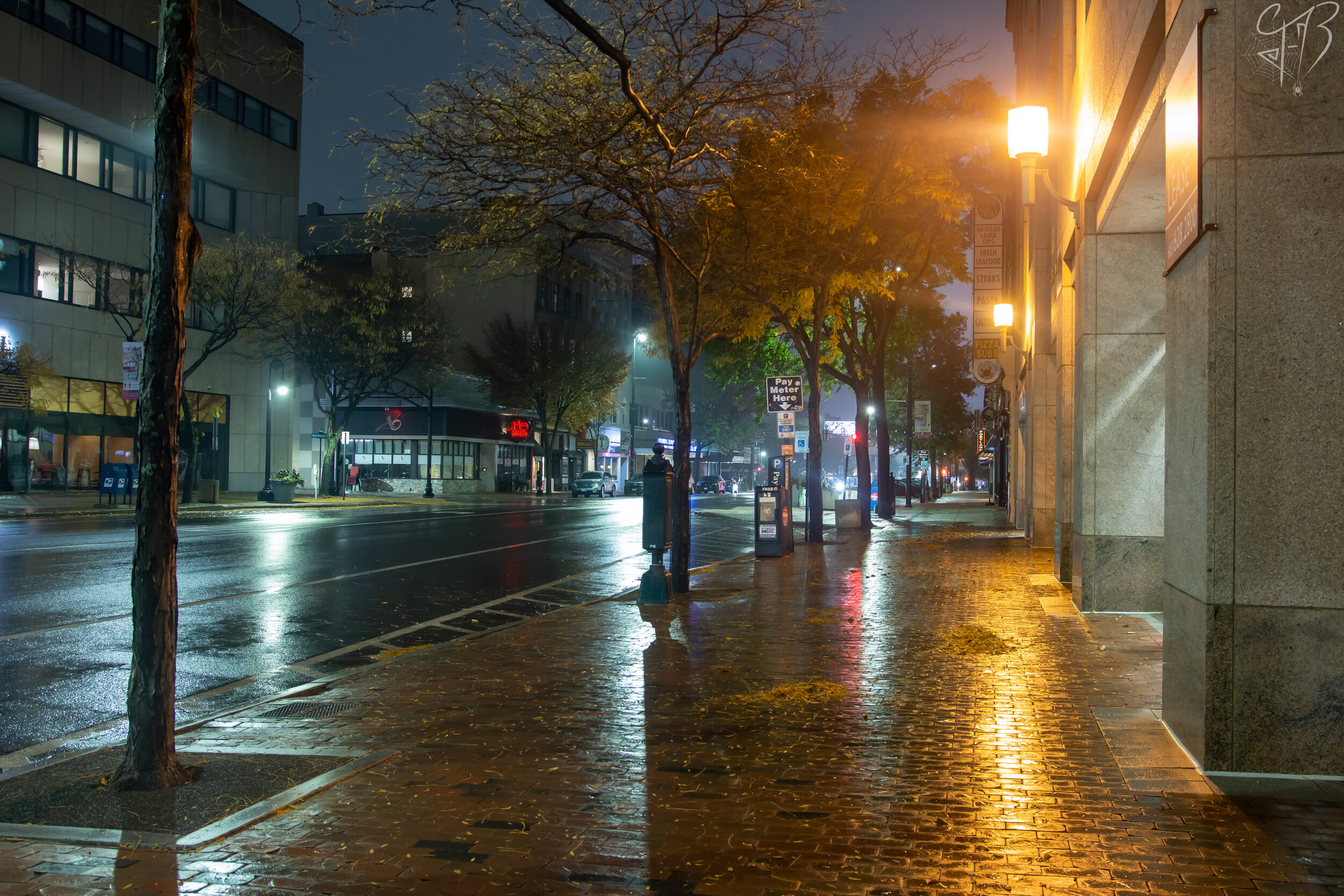 Rainy Nights