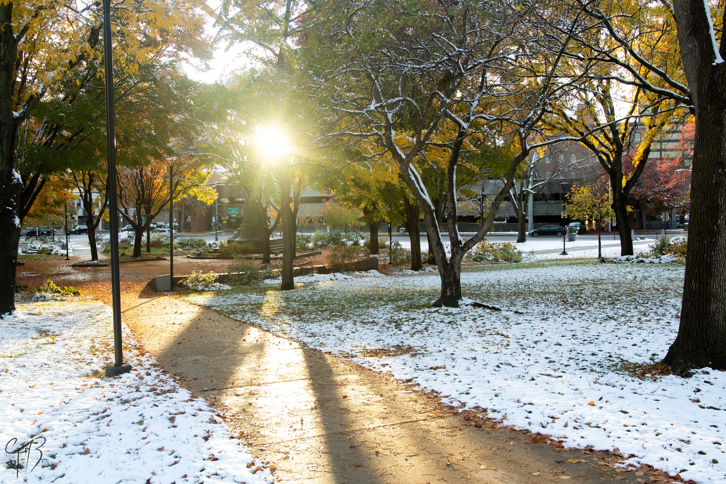 First Snow
