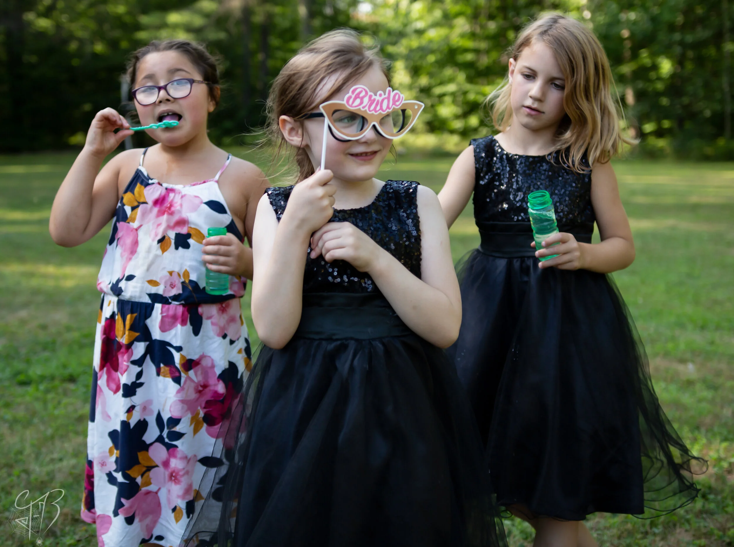 The Wedding party (Water Mark).jpg
