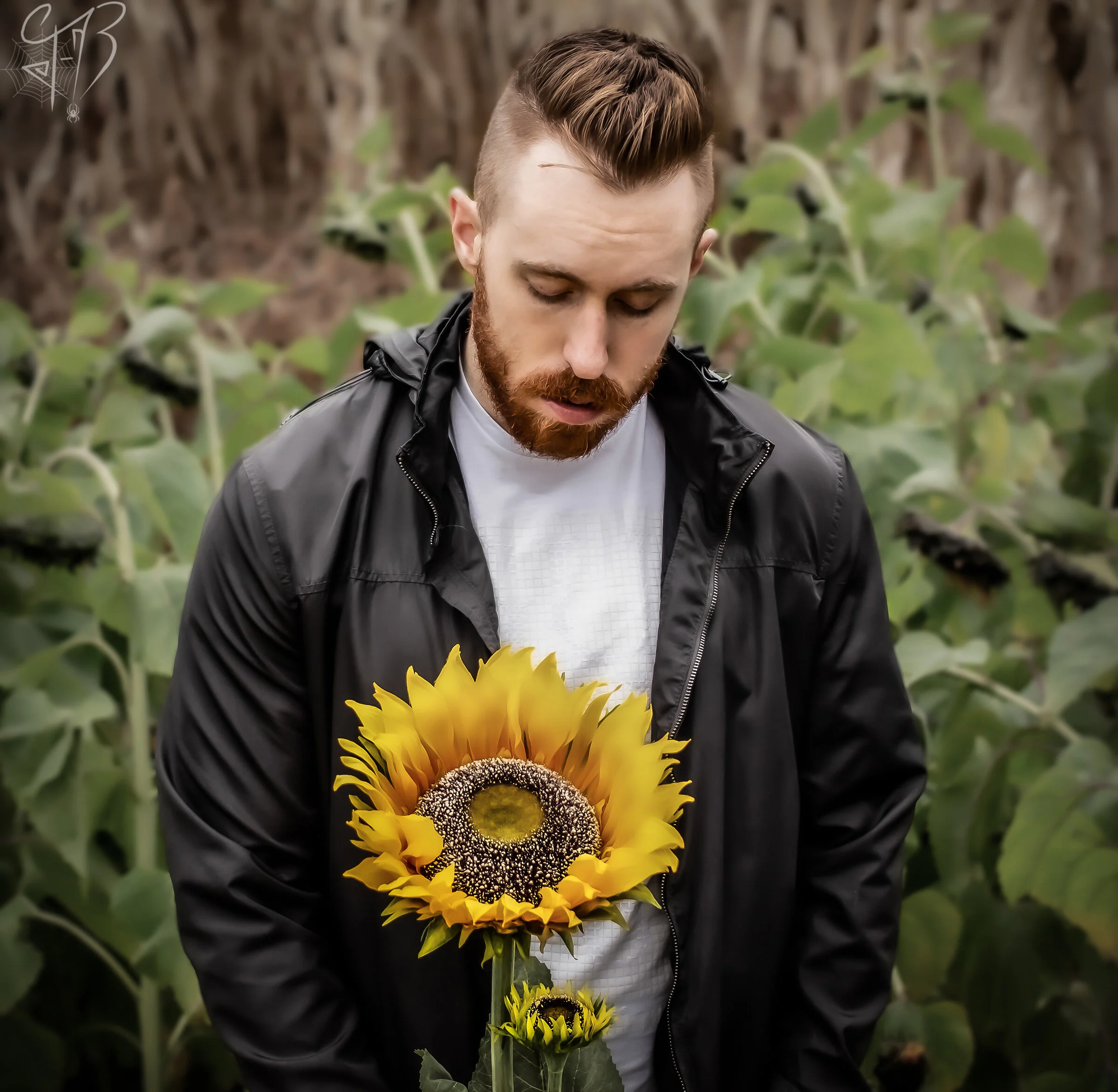 Dan Bauer