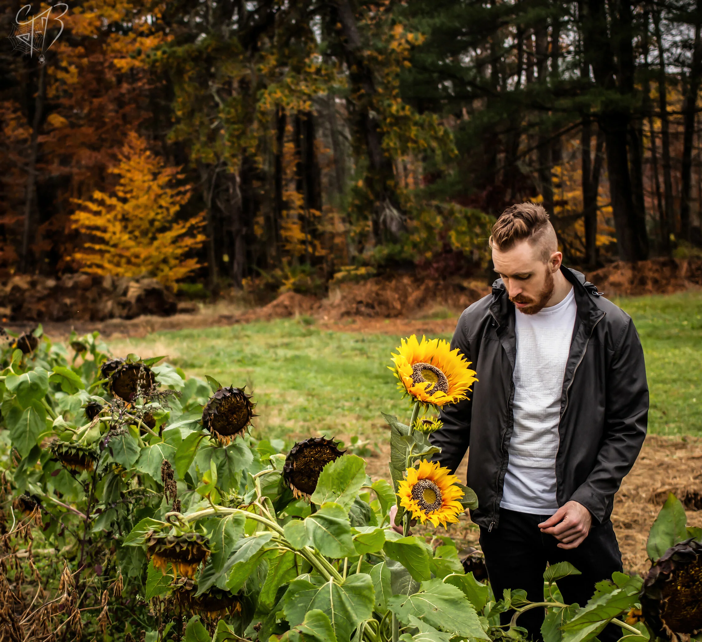 Dan Bauer (Album Cover)