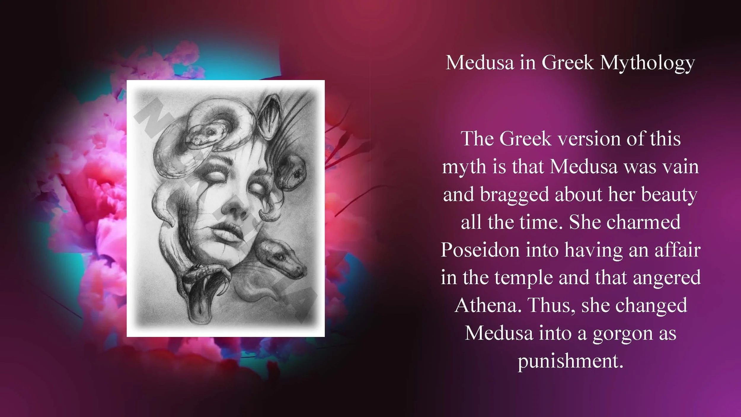 MEDUSA (PDF)_Page_04.jpg