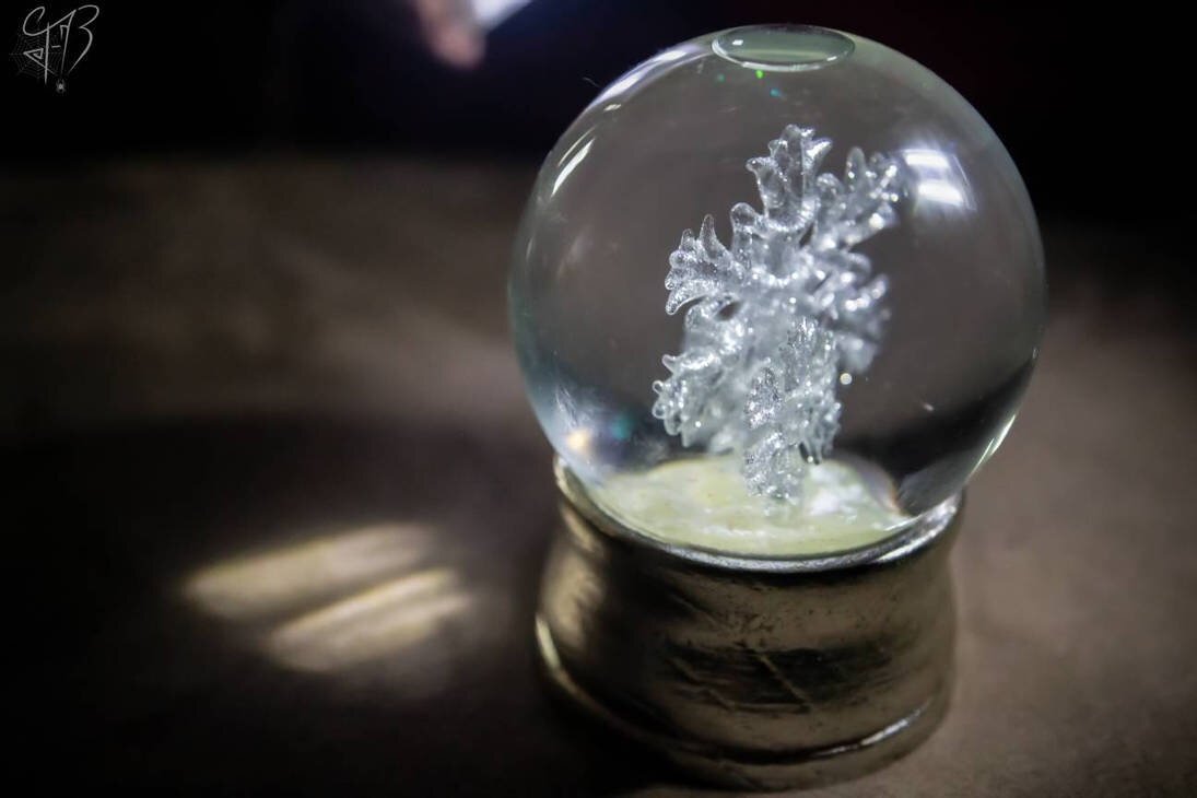 Frozen In Time