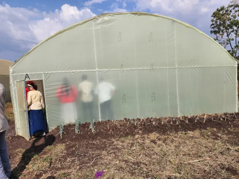 Greenhouse built by Life For Children Ministry providing year-round crops near a Kenyan school