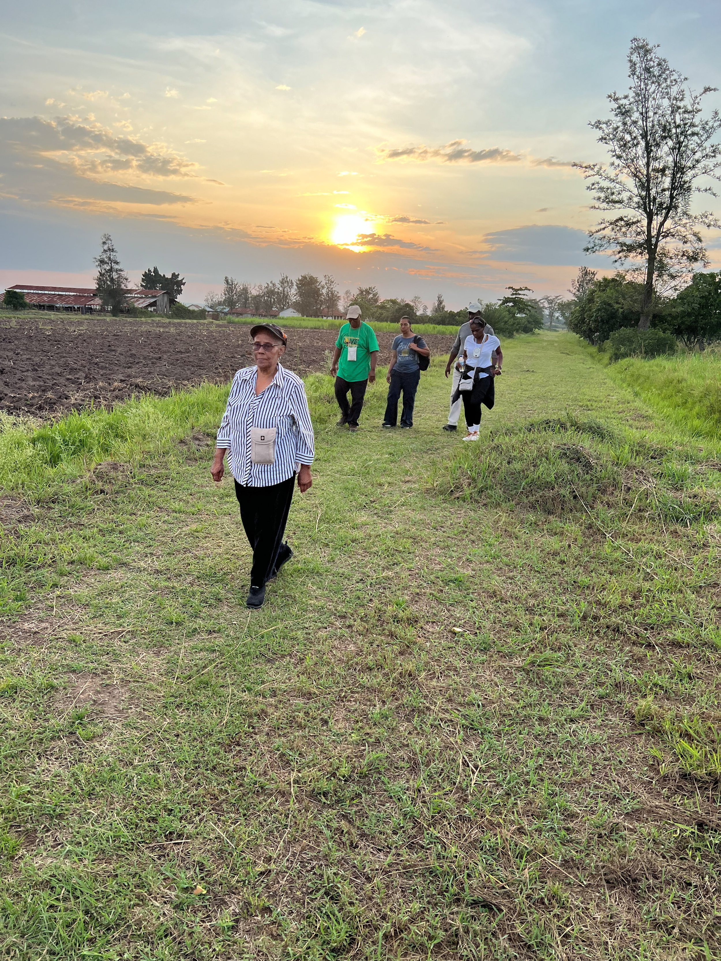 Four people walking on a grassy path at sunset, with trees and a plowed field in the background.