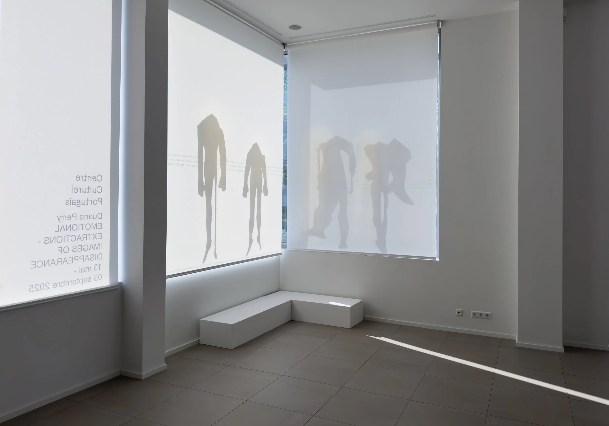 Exhibition view, Emotional Extractions – Images of Disappearance, 2025, cur. Julian Denzler. Courtesy: Centre Culturel Portugais – Camões, Luxembourg & the artist.