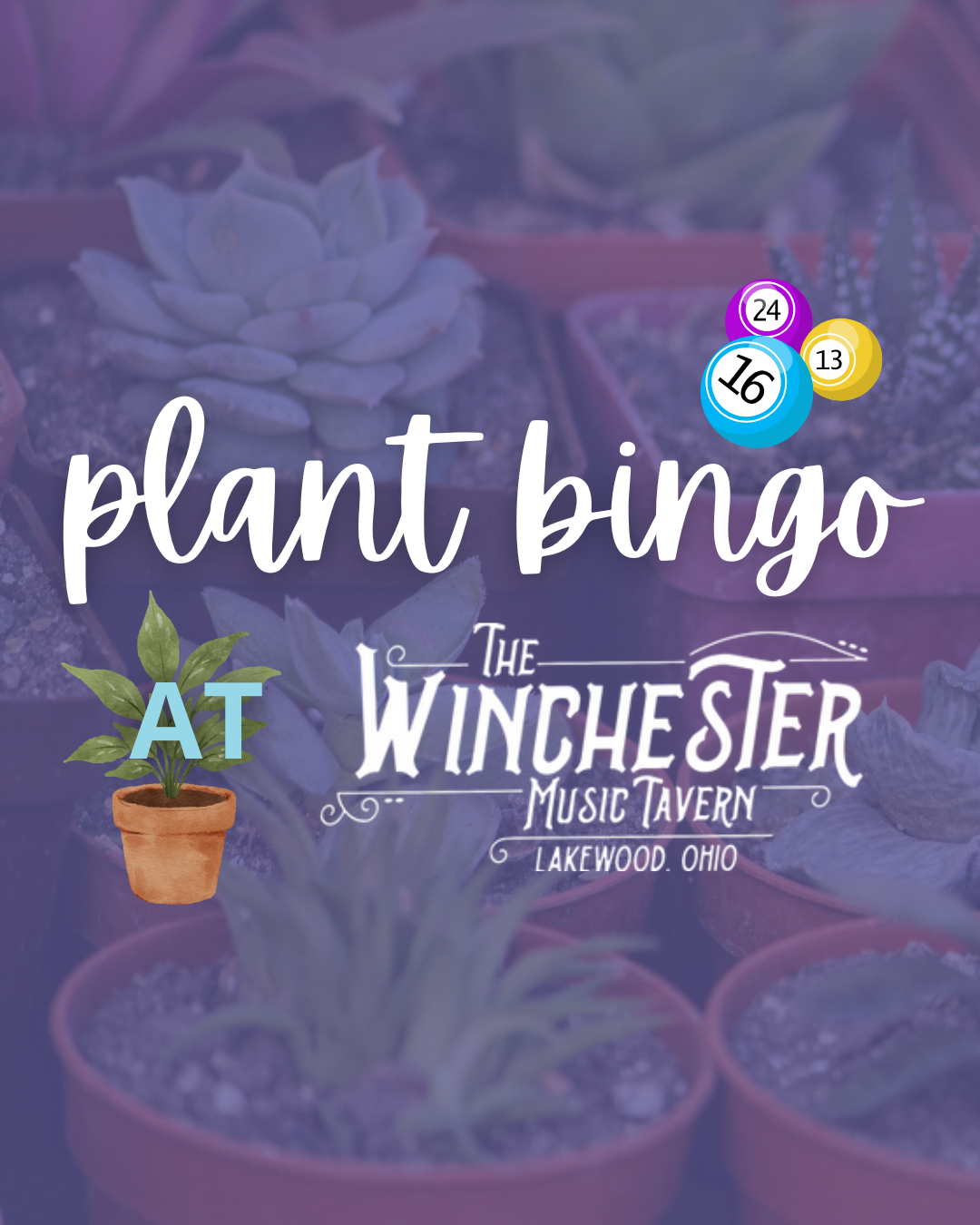 (4.29) Plant Bingo at The Winchester 
