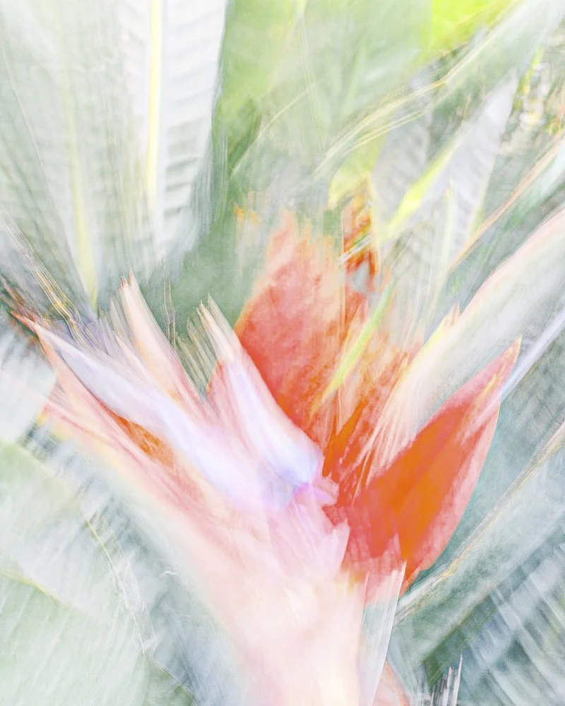 Tropical