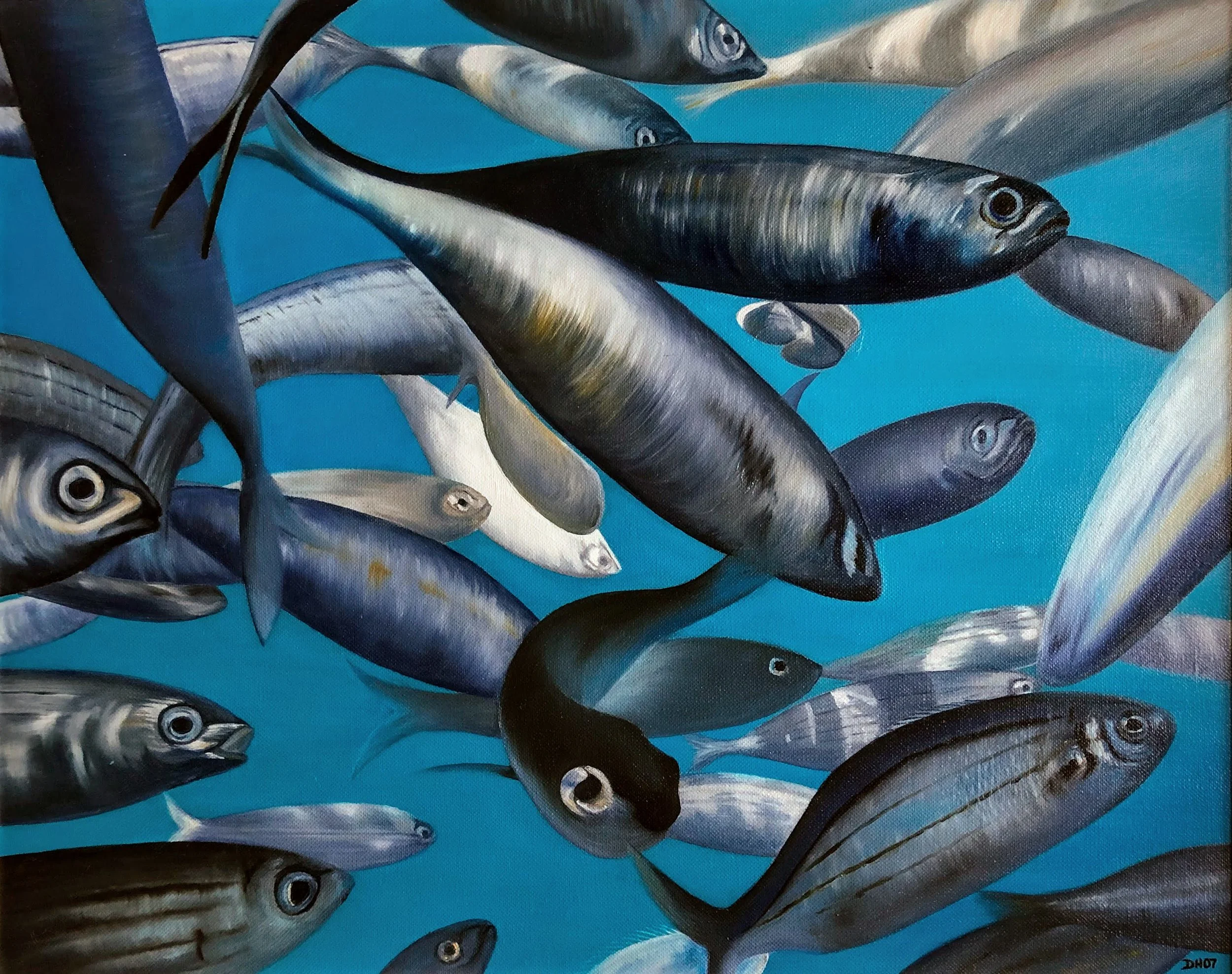 2019-02-25 15.29.37.jpg