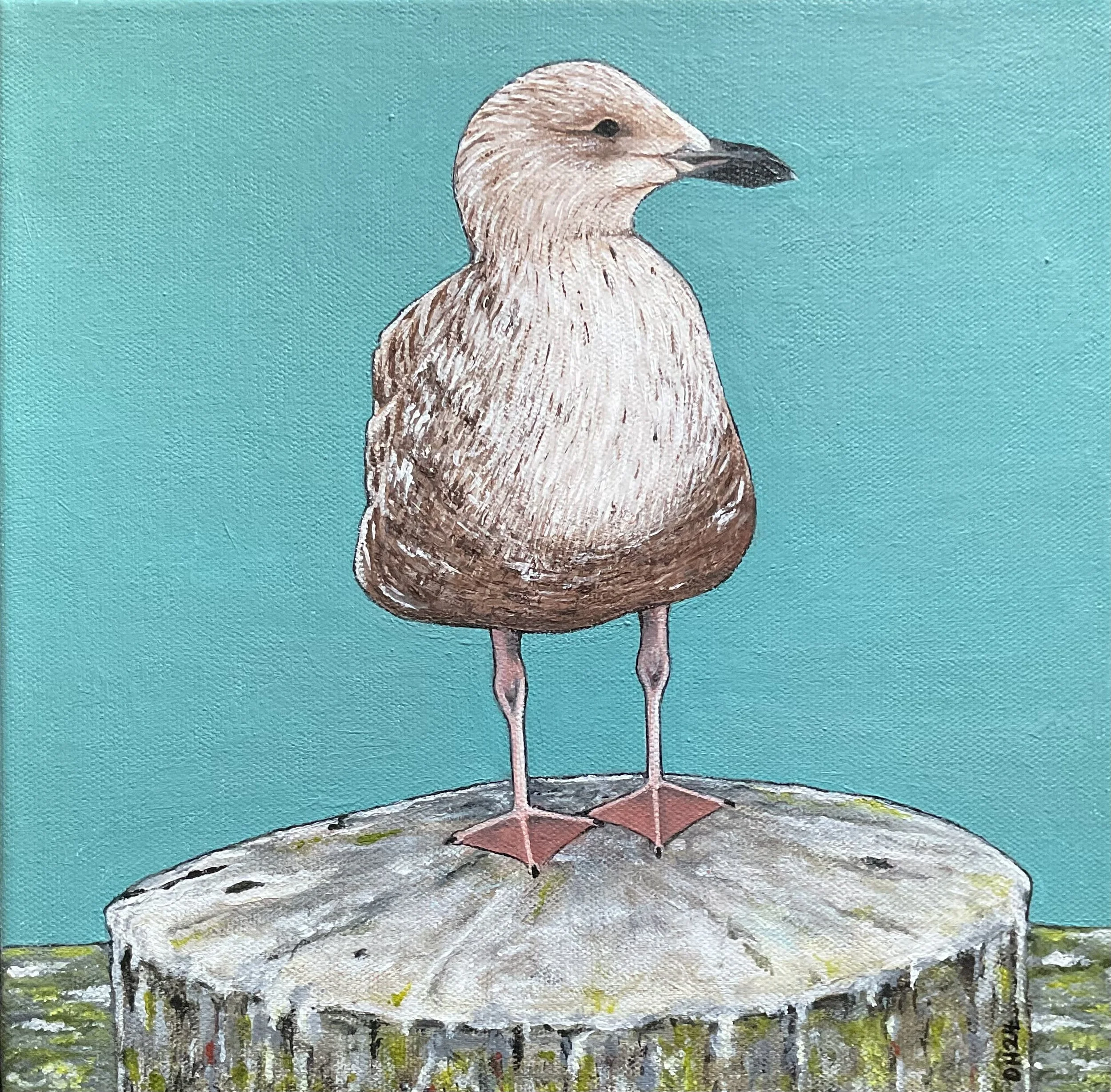 2025-01-16 16.00.22.jpg