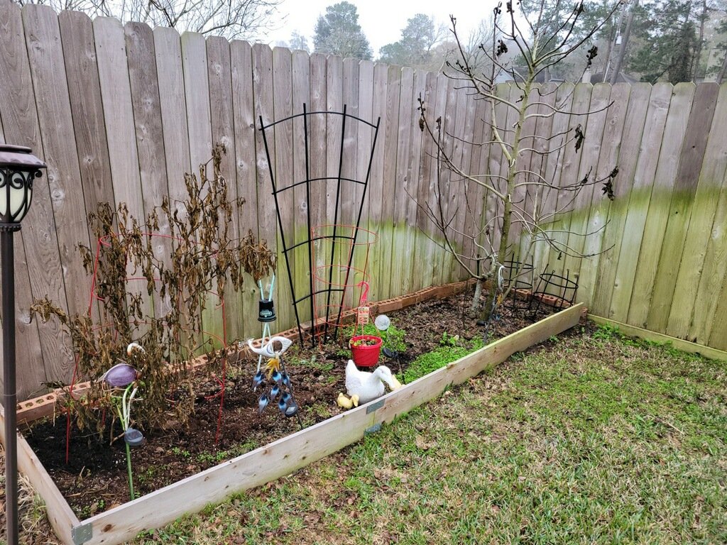 Garden bed with bare tree, brown plants, and garden decorations