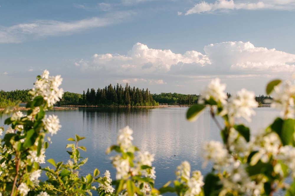 AHCIP Alberta Health Coverage — HealthQuotes
