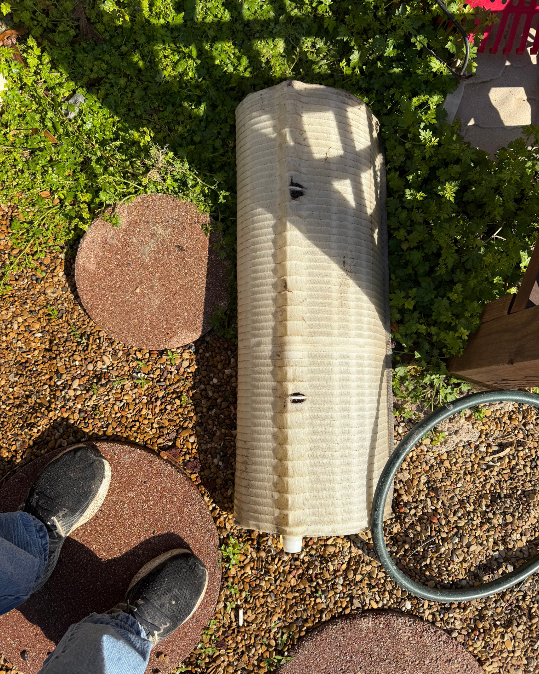 Is It Time for New Pool Filter Grids? 🏊✨