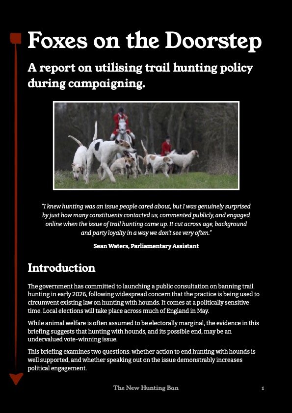 Foxes on the Doorstep