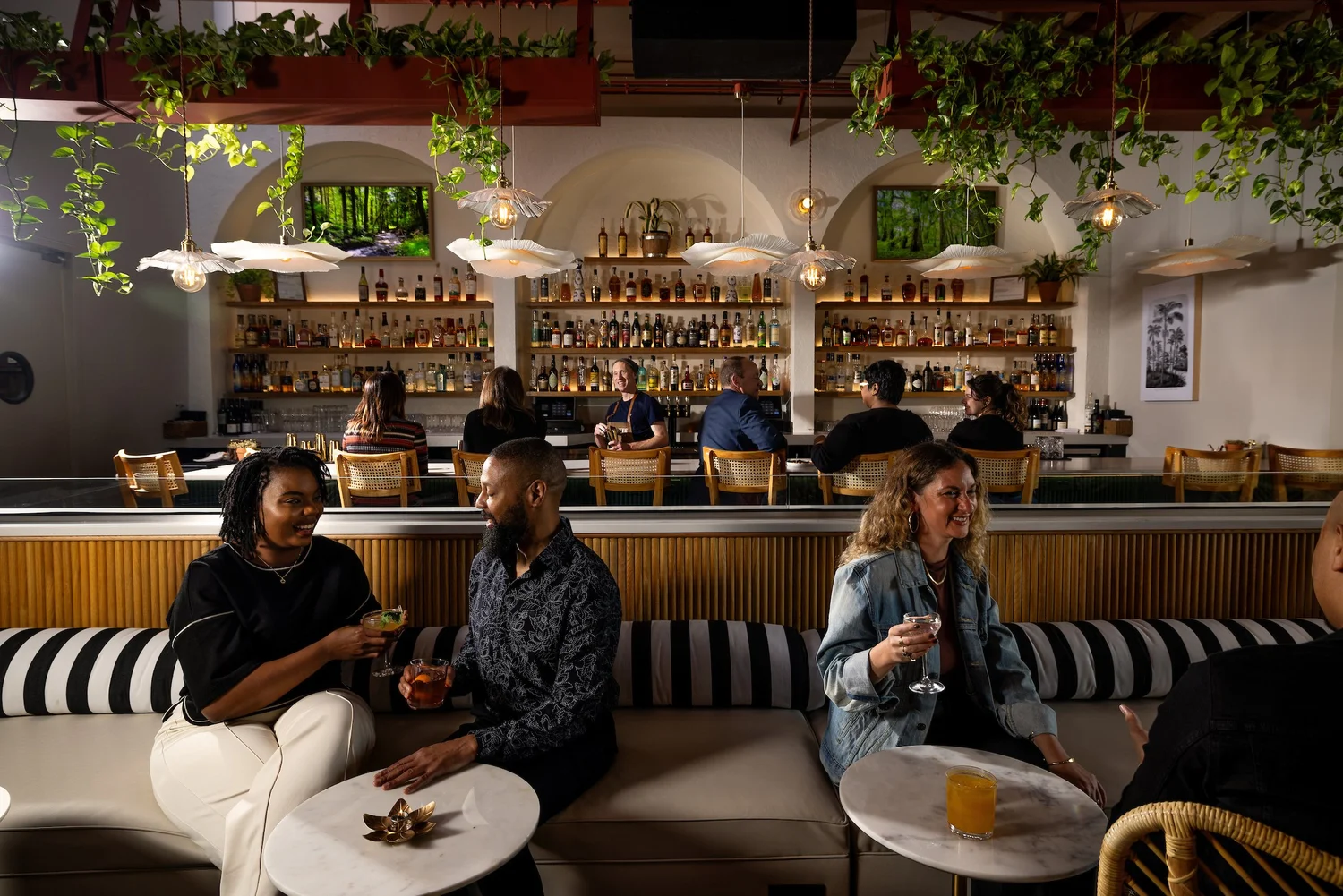 Bar photo 1