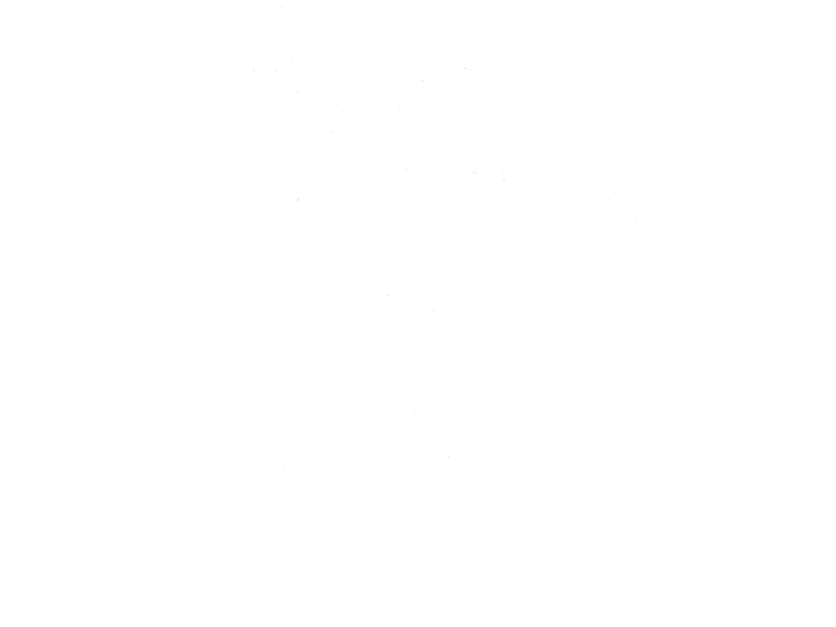 Team Flow Logo.png