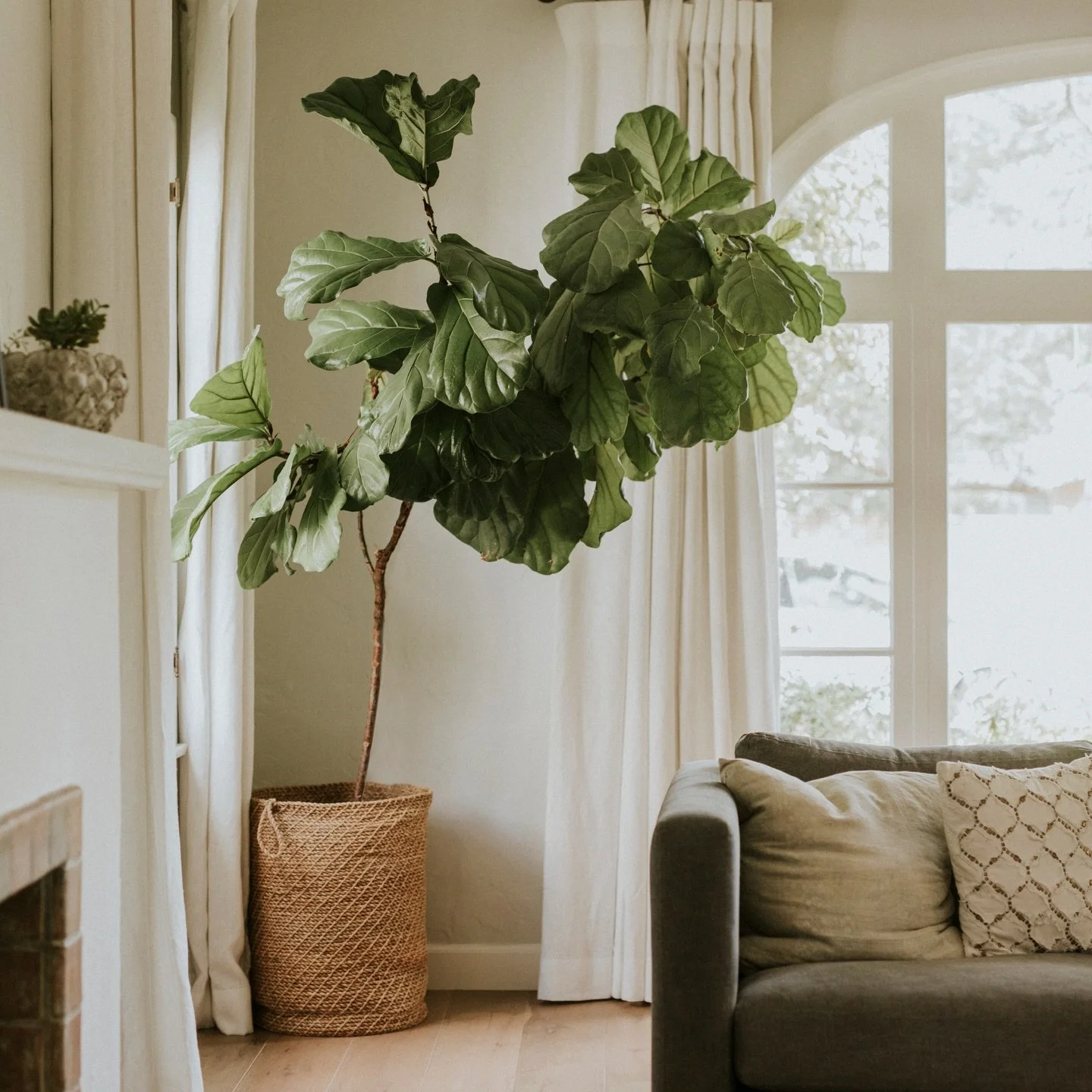 Owner-Occupied Refresh | The Listing Edit&trade;

This living room is part of an owner-occupied home refreshed under The Listing Edit&trade;&mdash;our one-day, design-driven service created specifically for sellers who live in their homes.

The goal 