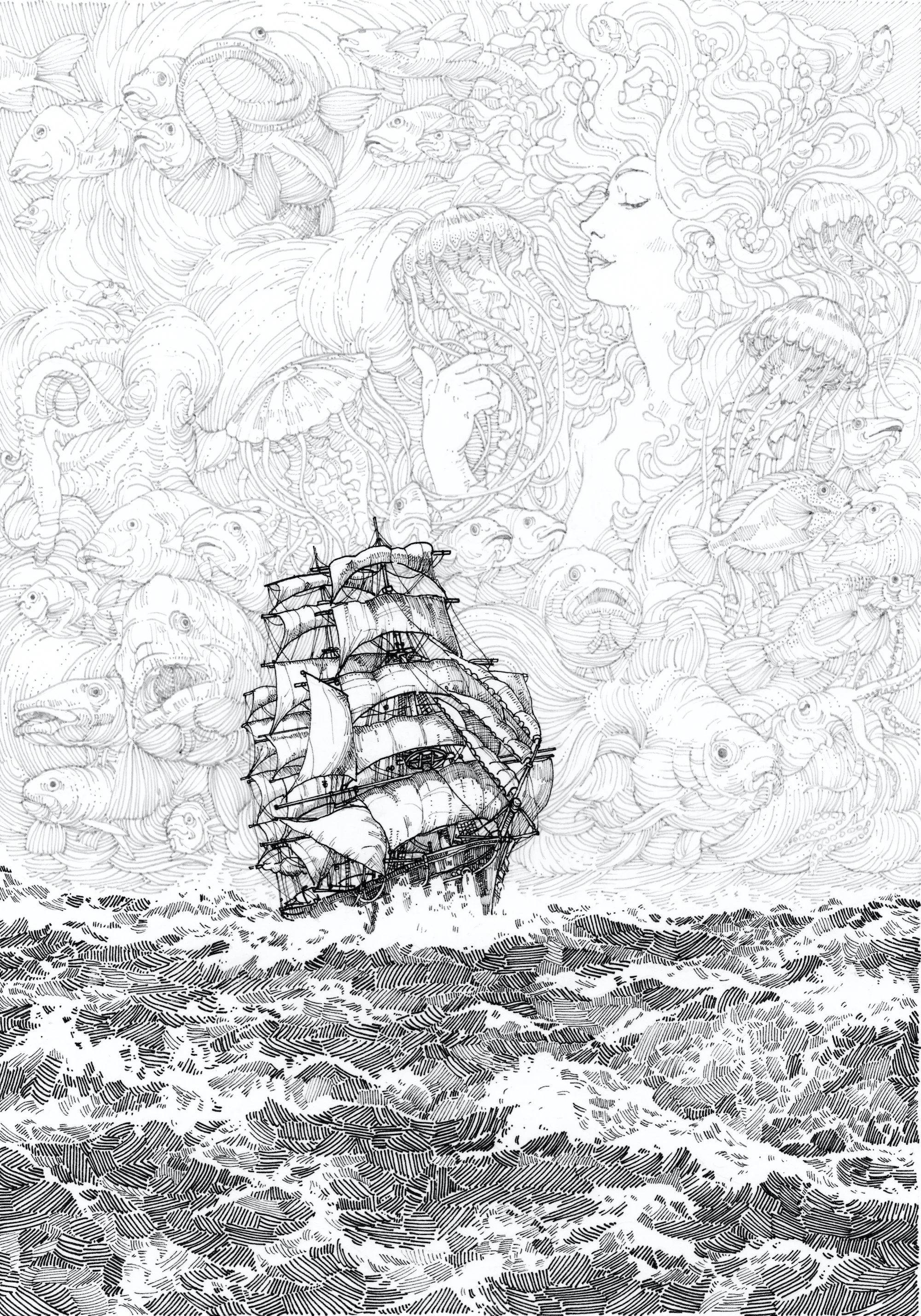 Call Of The Sea JPG.jpg
