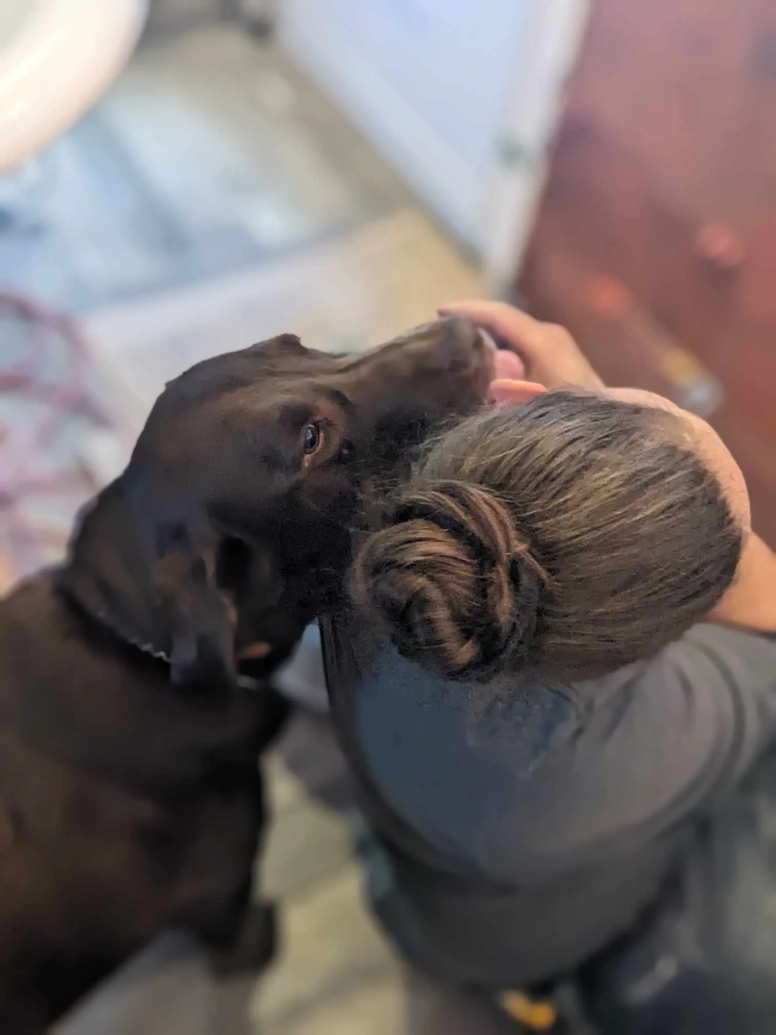 Un chien noir avec un collier, qui se couche sur une personne dont la tête est posée sur ses bras, dans un intérieur.