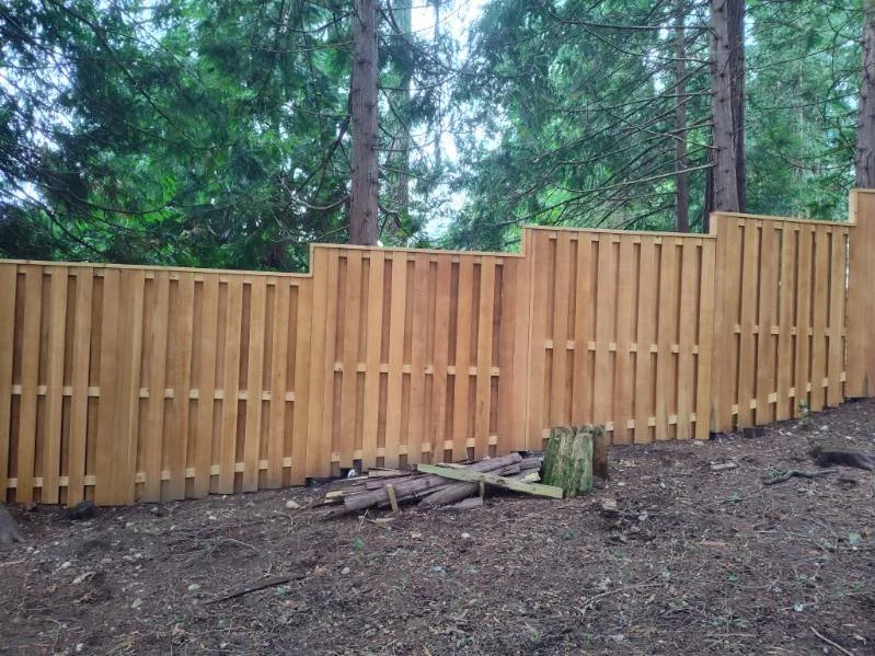 fence 2.JPG