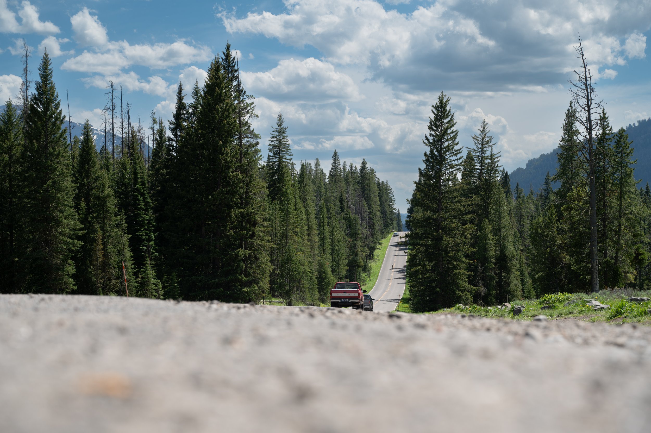 Forest road with a red pickup truck, surrounded by tall evergreen trees and mountains in the background.