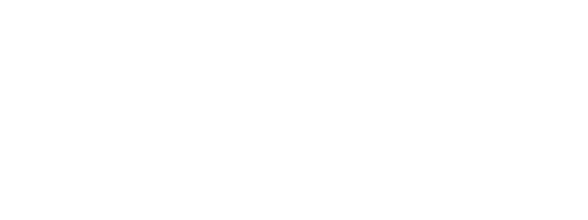 the Baltimore Sun - White.png