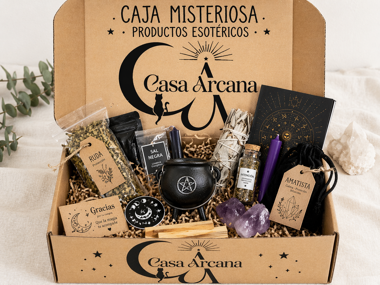 ChatGPT Image 8 abr 2026, 00_07_39.png