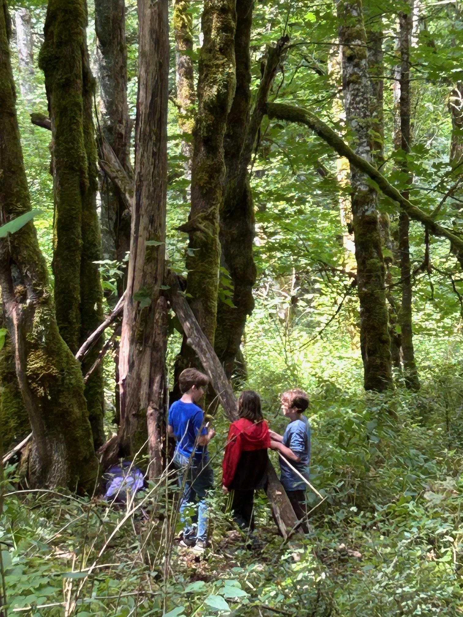 Fox Walking Camp