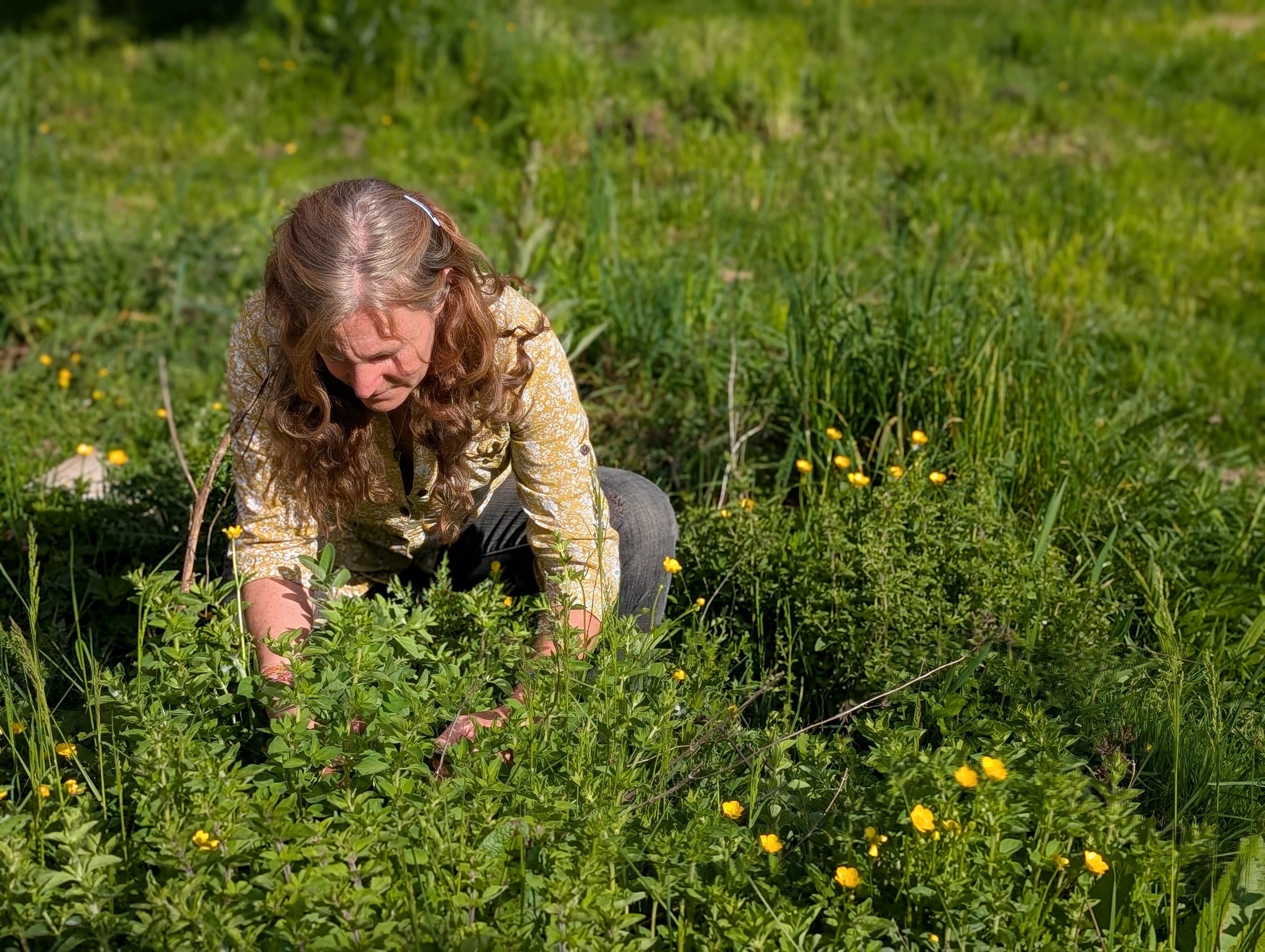 The Doug Firs Adult Homesteading Class