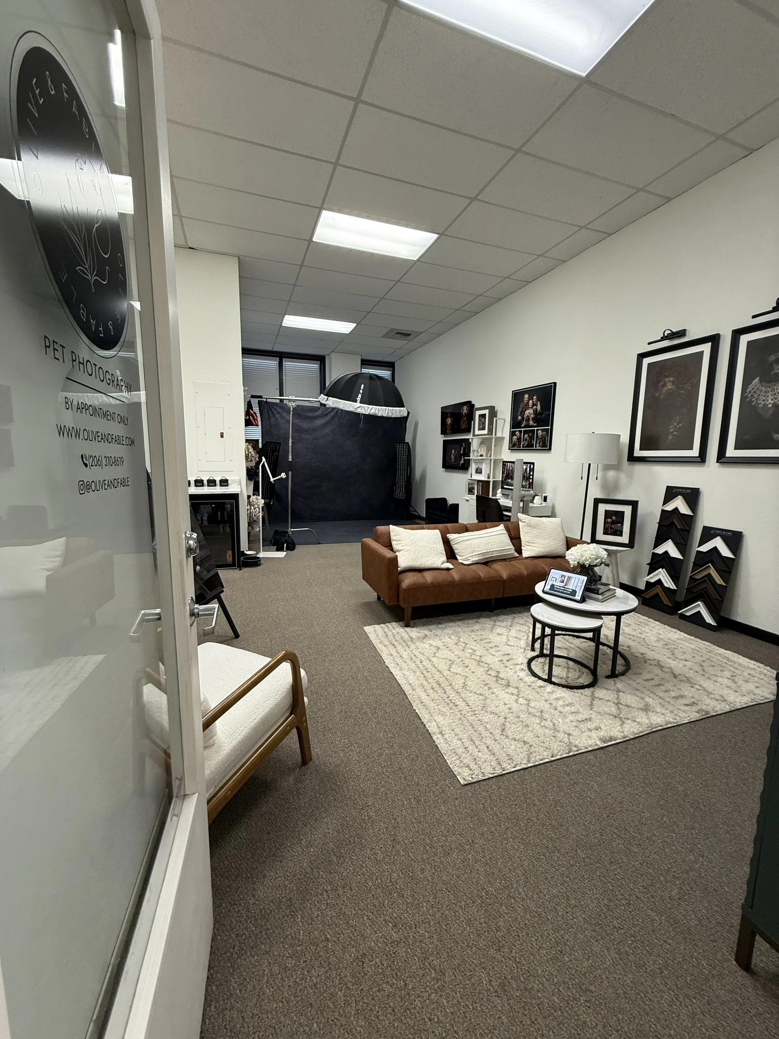 kirkland fine art pet photo studio interior