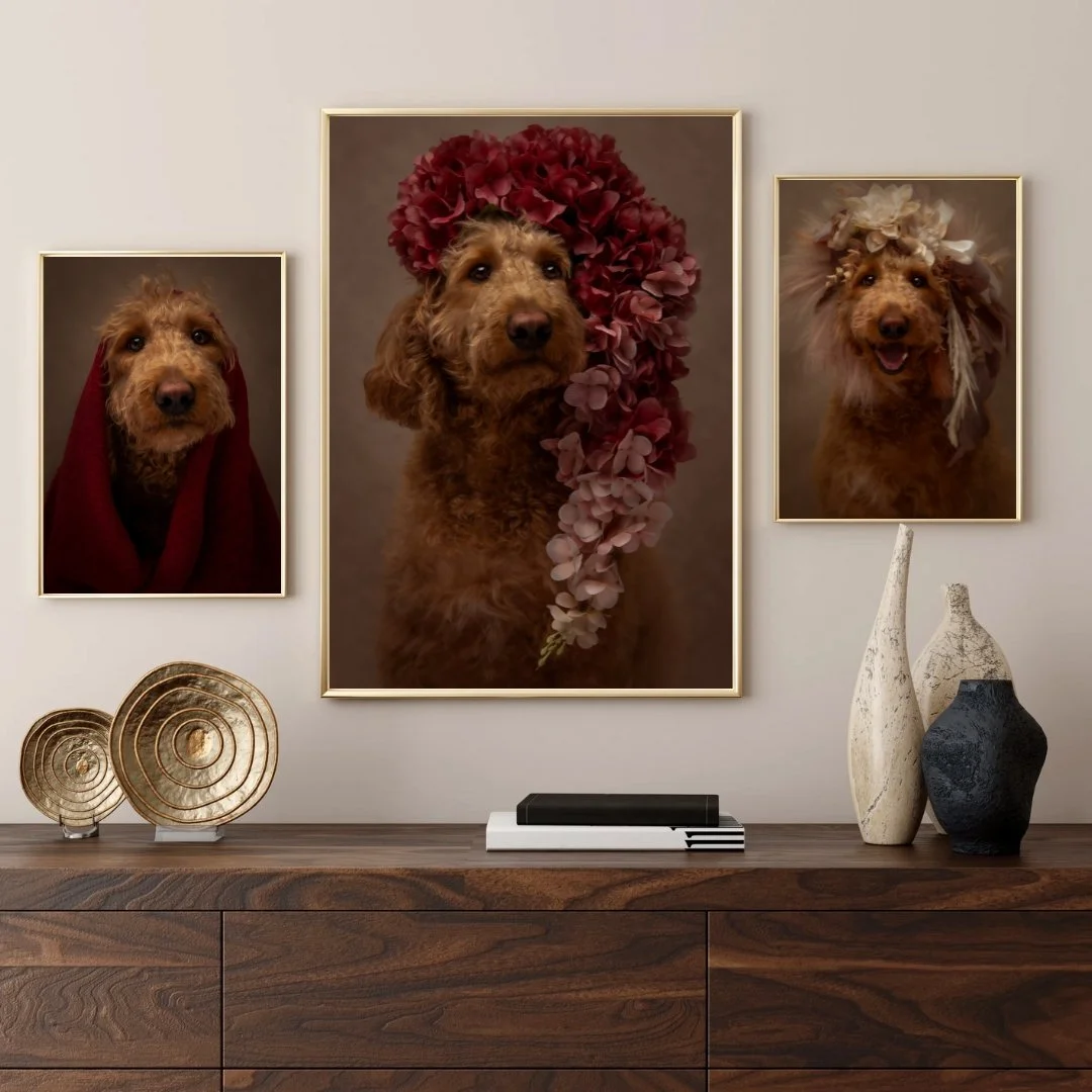 Olive and Fable Studio Grand Opening: Washington’s New Home for Fine Art Pet Photography