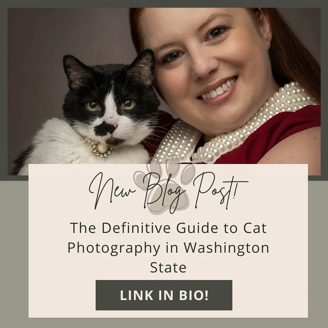 β¨ Dogs may have stolen the spotlight for years, but at Olive & Fable, it’s the cats who are stepping into center stage. πΎ From regal poses to quiet, soulful moments, our feline friends deserve to be celebrated just as much as their canine