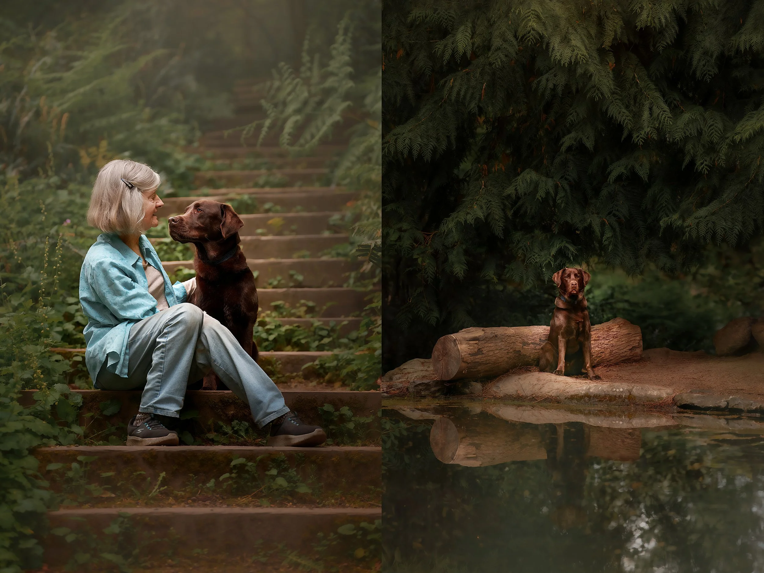 5 Reasons You Should Be in Your Pet’s Professional Photos