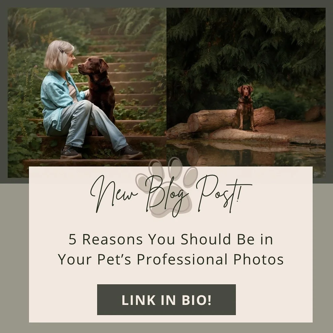 β¨ New on the Blog β¨
Should you be in your pet’s professional photos? (Spoiler: the answer is yes πΎ)
Our latest blog shares 5 powerful reasons why you belong in the frame with your dog or cat, from preserving your bond to creating heirloom ar
