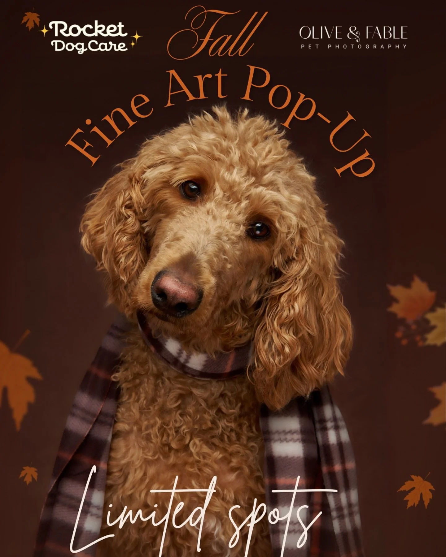 We are one week away- Have you signed up yet?? Spaces are limited for this fine art fundraiser!
Join Rocket Dog Care and Olive & Fable Pet Photography for a heartfelt fundraiser with Forever Home Dog Rescue!
🐾 Calling all pup parents! 🐾
This