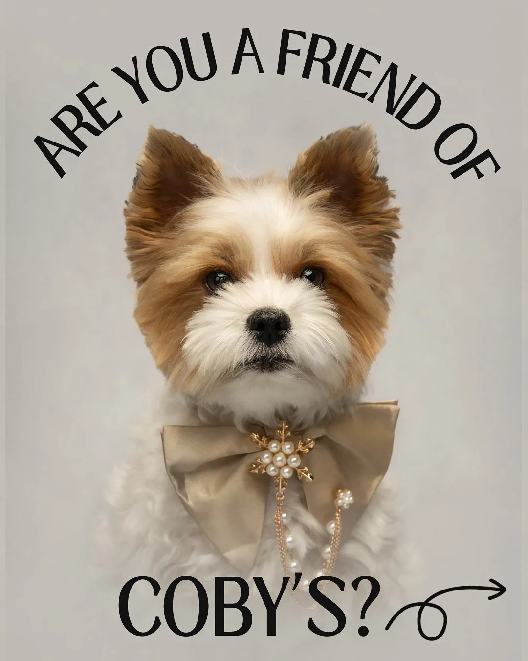 Are you a Friend of Coby’s? 🐾
If you’ve ever been greeted by a wagging tail or shared a coffee surrounded by dogs and their humans at Coby’s Café, then you already know you’re part of something truly special. ✨
Coby&