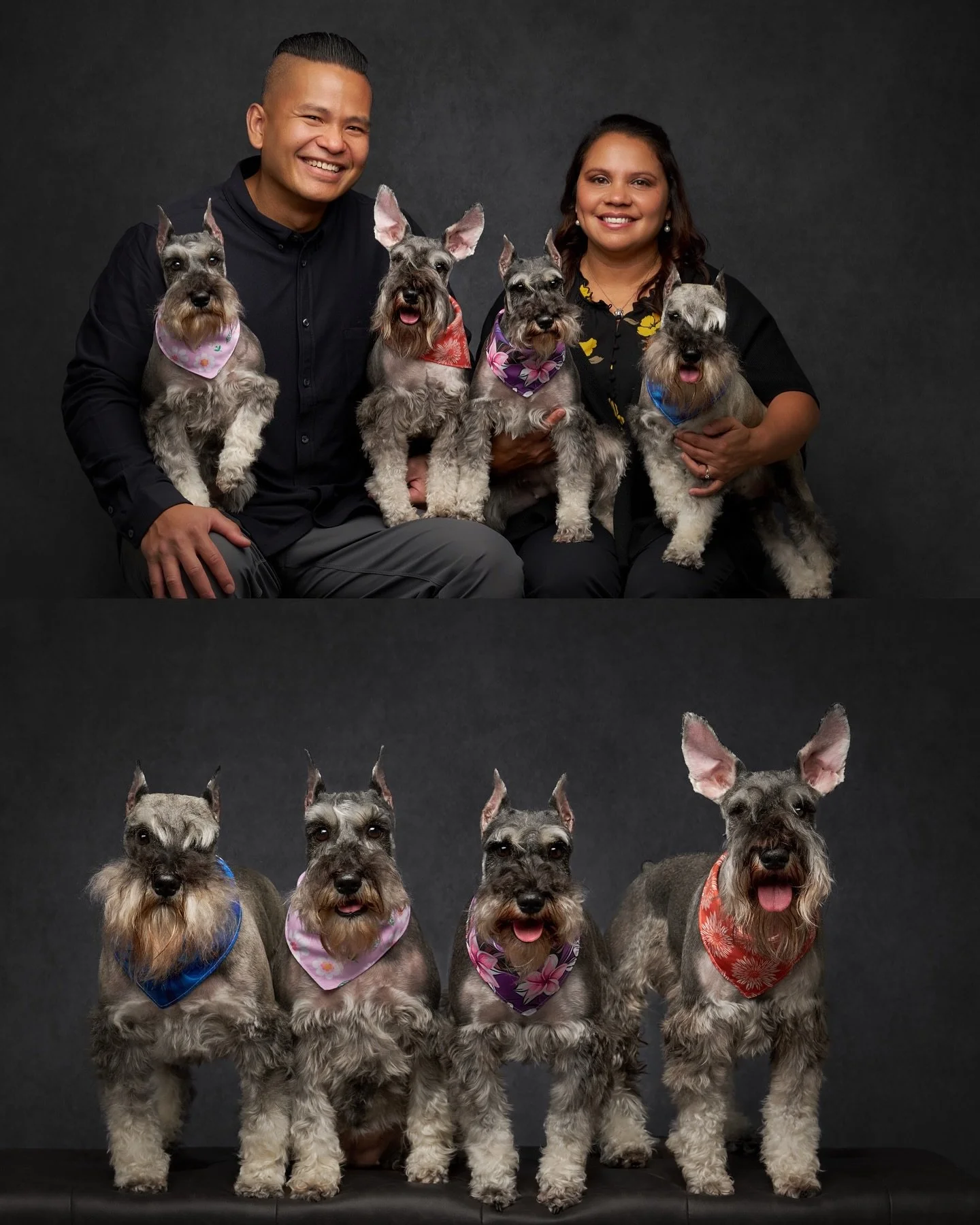 Some families are built by blood, others by choice and sometimes, they&rsquo;re made even fuller with paws and wagging tails. 
🐾 This couple&rsquo;s love story grew into a family of four incredible dogs, each with their own personality, quirks, and 