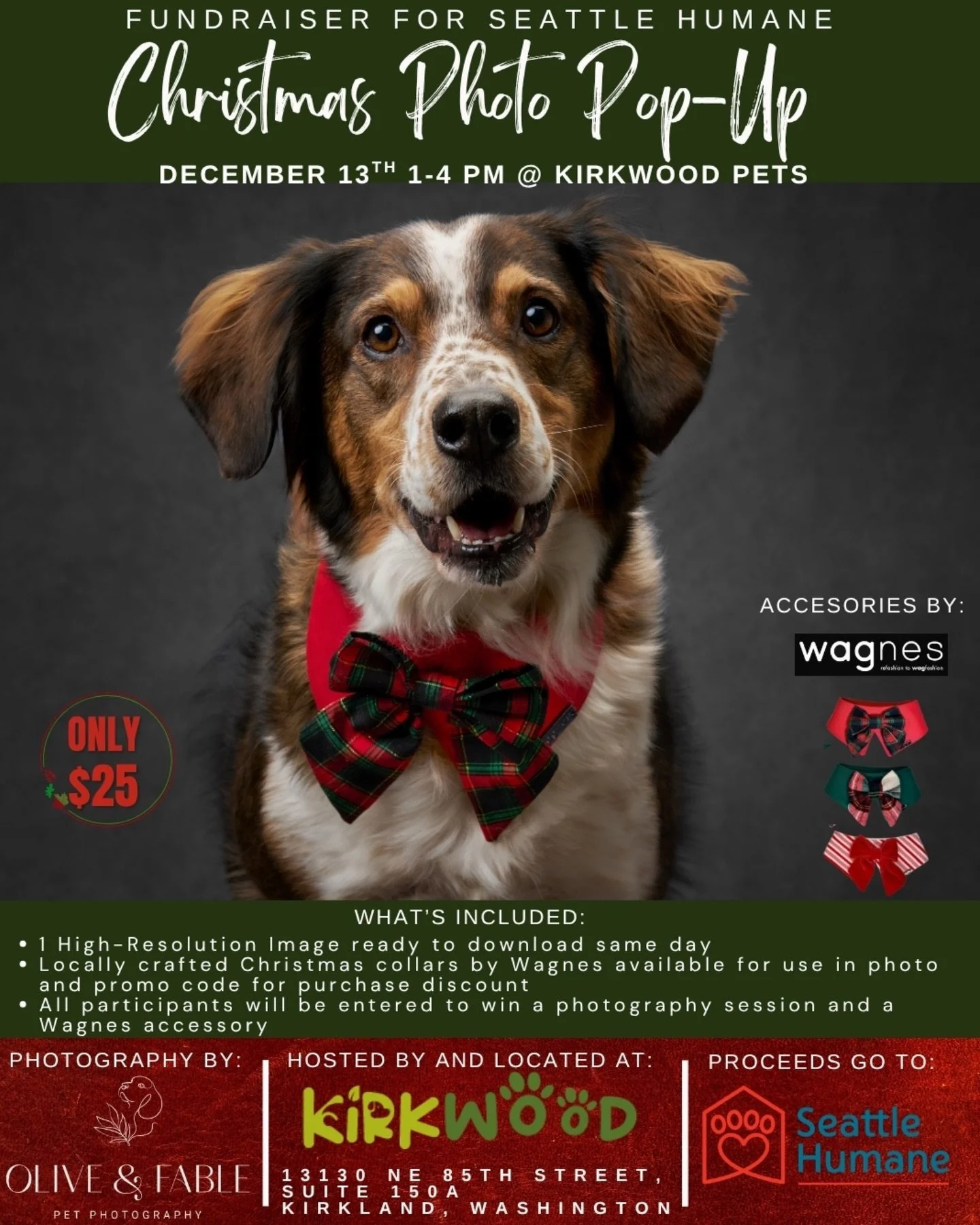 🎄✨ HOLIDAY ALERT, PNW PET PARENTS! ✨🎄

We&rsquo;ve teamed up with @kirkwoodpets to bring you a one-day-only Christmas Photo Pop-Up benefitting @seattlehumane &hellip; and it&rsquo;s your last chance for festive pet portraits this season!

📅 Saturd