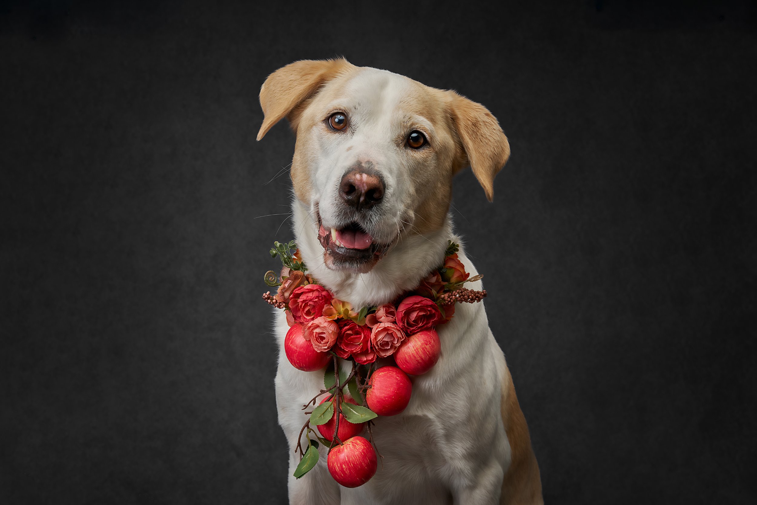 Portraits With Purpose: Creating Connection Through Art