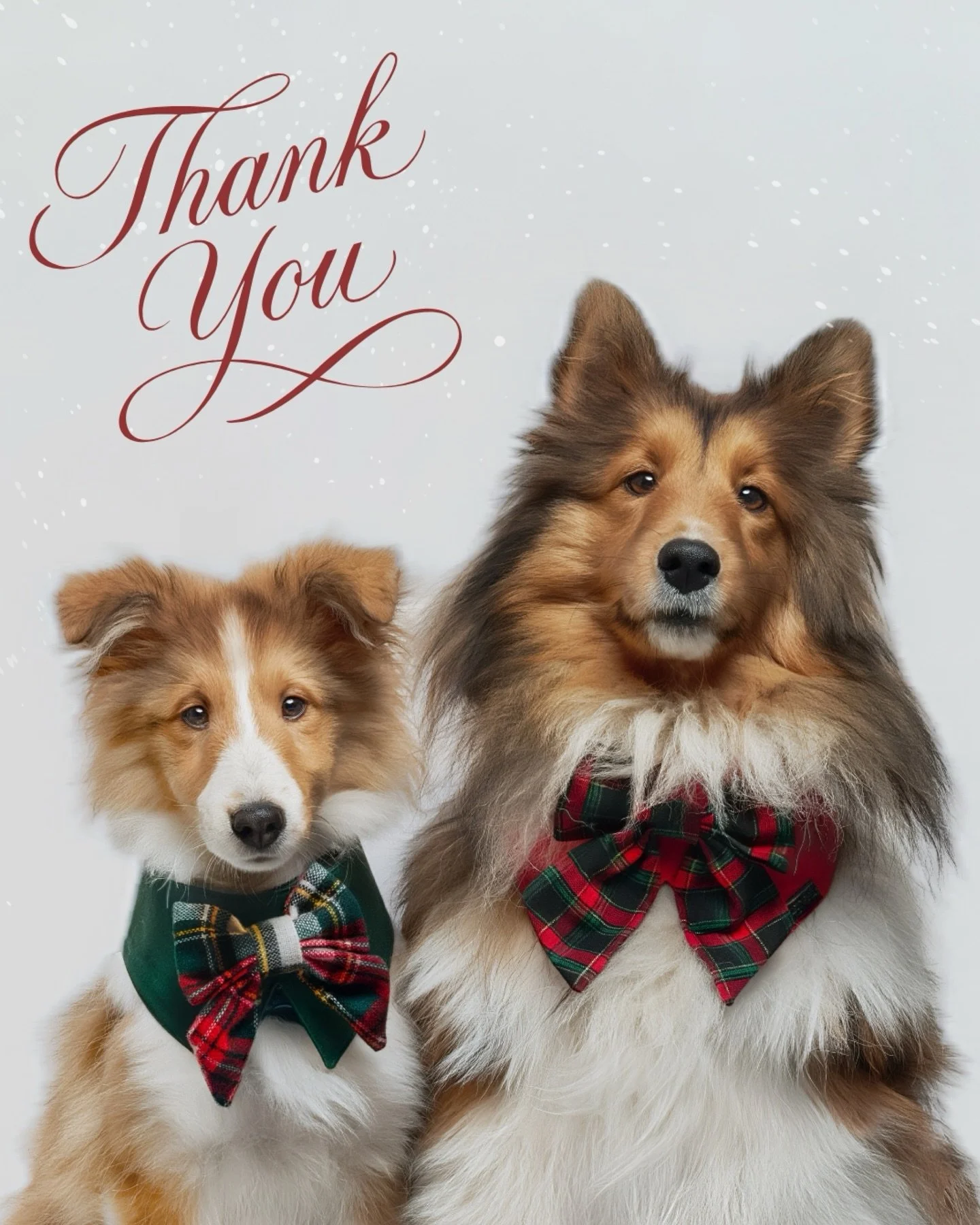 What a heart filling day at our Kirkwood Pets pop up 💚🐾

Because of this incredible community, we were able to raise $450 for the animals at Seattle Humane, and we are so proud of what we created together. A heartfelt thank you to Kirkwood Pets @ki