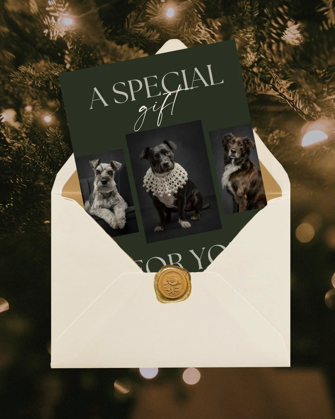 The Most Meaningful Gift for Pet Parents This Holiday Season