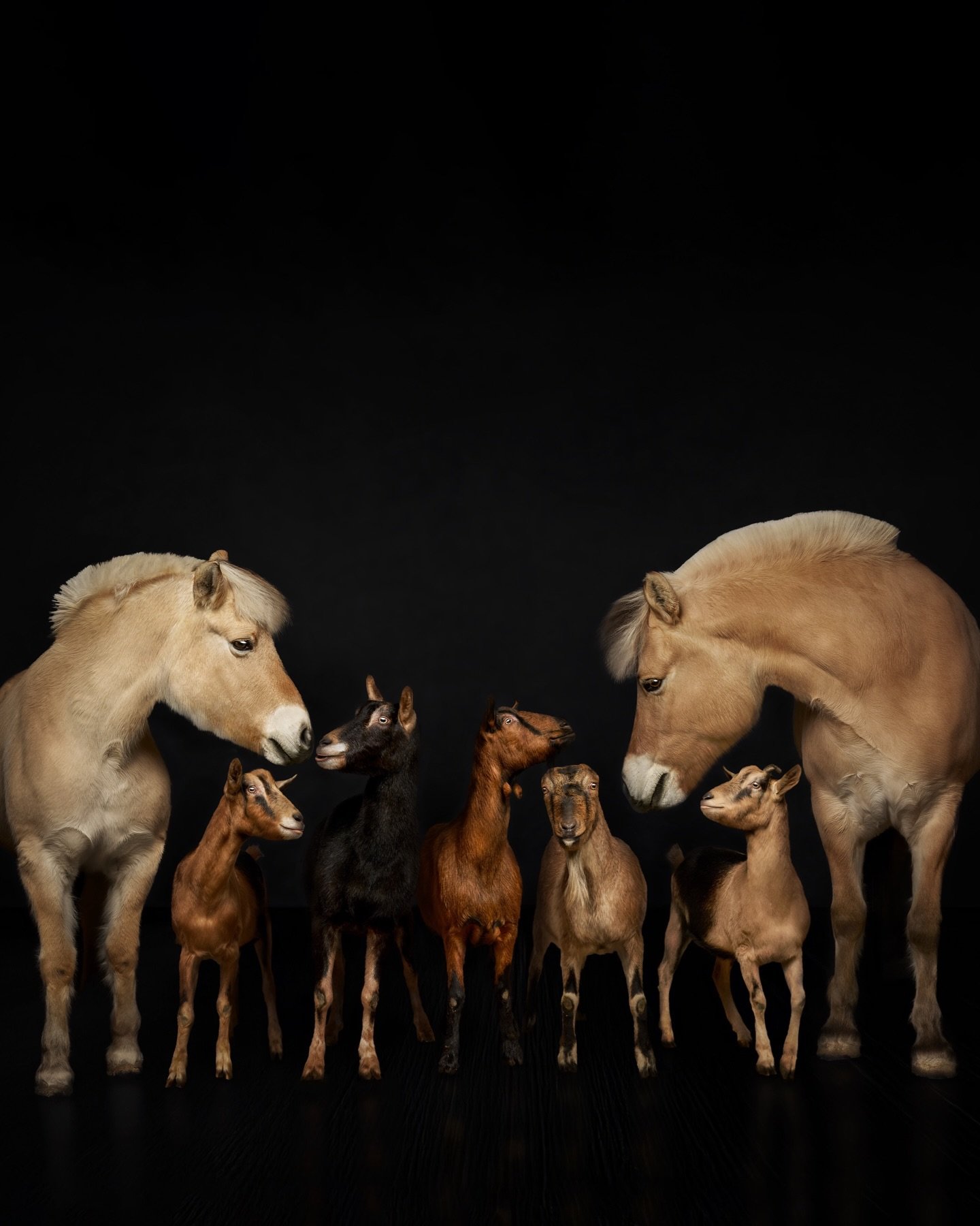 Family is not defined by matching shapes or perfect moments.

Especially during the holiday season, we are reminded that family reveals itself in quieter ways through shared space, daily rituals, and the steady act of choosing one another again and a