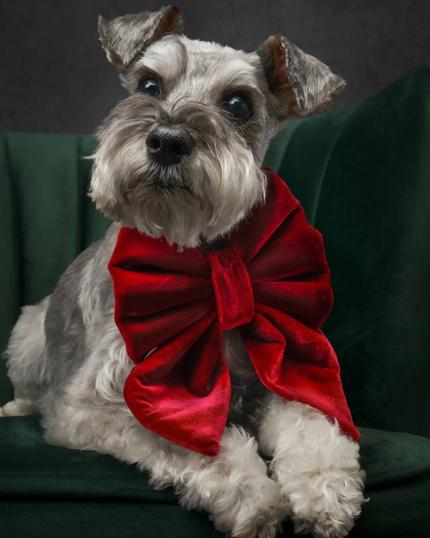 Two more sleeps till Christmas 🎄

As the countdown gets shorter, we&rsquo;re hoping you&rsquo;re finding moments to soften the rush. A deep breath between errands. A quiet pause with someone you love. A reminder that the heart of the season isn&rsqu