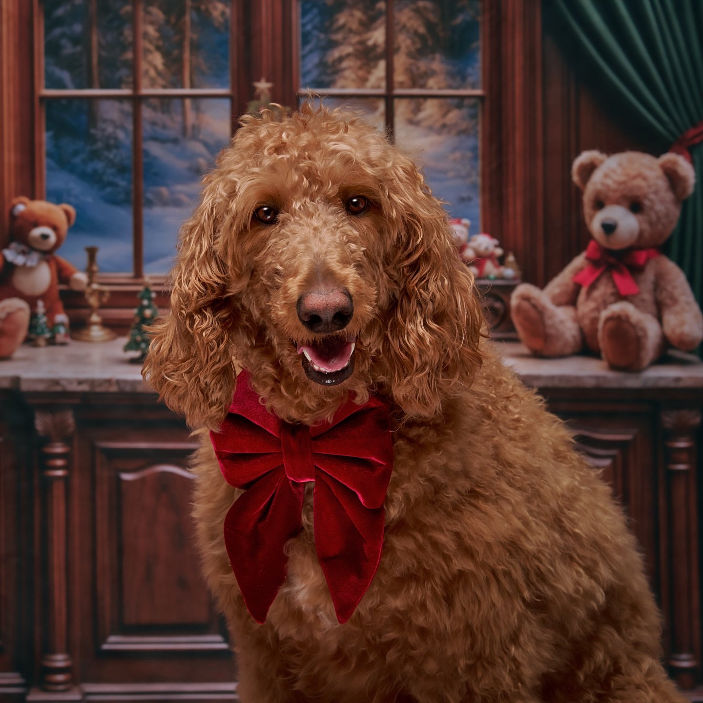 Merry Christmas 🤍

We hope today is filled with warmth, laughter, and moments of connection with the ones who make your family whole, including the furry ones right by your side. This season always brings us back to why Olive &amp; Fable began in th