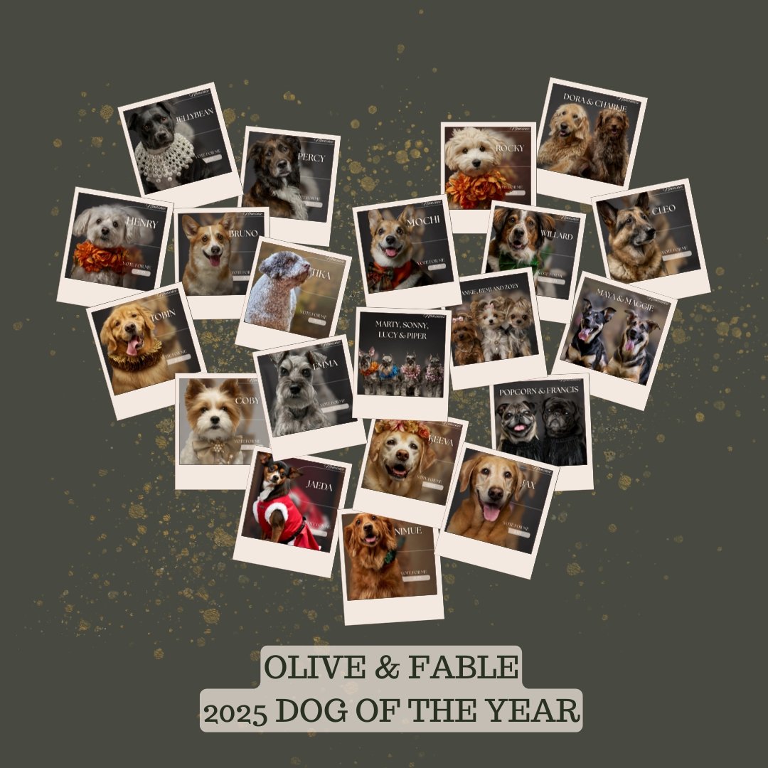 Olive &amp; Fable’s 2025 Dog of the Year