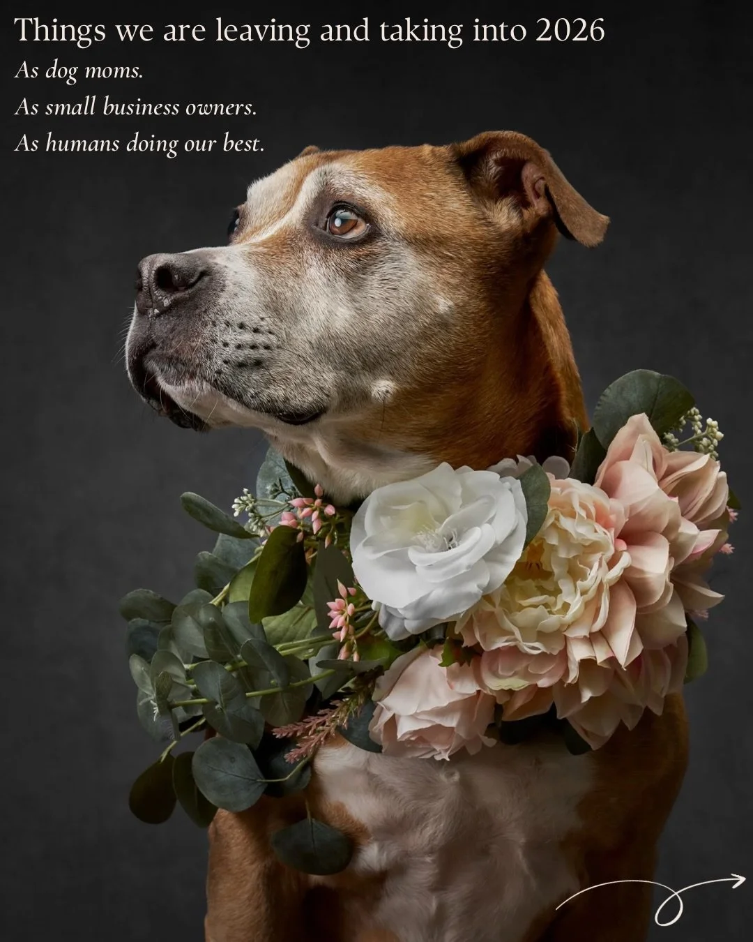 As we step into 2026, we&rsquo;re choosing intention over noise, letting go of perfection, comparison, and the need to be for everyone, and carrying forward what truly matters: community, care, and quality in how we show up as dog moms and as a small